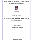 [Khoá luận tốt nghiệp]_ Determinants of credit risk in Vietnamese commercial banks