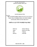 [Luận văn thạc sĩ]_ Học tập kinh nghiệm trong SX xà lách tại trang trại Toyohiro Endo, Nagano, Nhật Bản