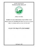 [Luận văn thạc sĩ]_ Nghiên cứu đặc điểm sinh lý hạt giống và kỹ thuật tạo cây con Bời lời vàng phục vụ trồng rừng cung cấp gỗ lớn