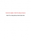 Câu hỏi trắc nghiệm - Kinh tế lao động NEU (có đáp án)