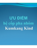 Ưu điểm_ Hệ Cốp Pha Nhôm Kumkang Kind