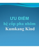 Ưu điểm_ Hệ Cốp Pha Nhôm Kumkang Kind 