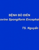 Bài Giảng - Bệnh Bò Điên 