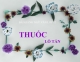 Bài Giảng -, Điện Tử Thuốc Lỗ Tấn 