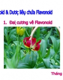 Bài Giảng - Flavonoid & Dược Liệu Chứa Flavonoid 