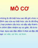 Bài Giảng Mô Cơ 