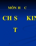Bài Giảng Môn Học Lịch Sử Kinh Tế