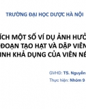 Bài tập nhóm_ Phân tích một số ví dụ ảnh hưởng của giai đoạn tạo hạt và dập viên đến sinh khả dụng của viên nén