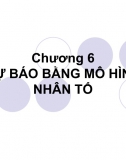 Chương 6. Dự báo bằng mô hình nhân tố