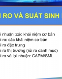 Rủi ro và Suất sinh lời