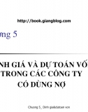 C5 (tiếp). Định giá và dự toán vốn trong Cty vay nợ - Slide Tài chính công ty nâng cao