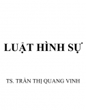 Bài giảng Luật hình sự - Trần Thị Quang Vinh