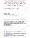 Tìm hiểu về các cam kết của Việt Nam trong WTO liên quan đến lĩnh vực tài chính