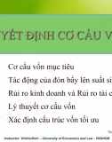 Quyết định cơ cấu vốn - Lý thuyết tài chính doanh nghiệp