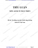 Tiểu luận - Tác động của dân số đến tăng trưởng  kinh tế ở Việt Nam