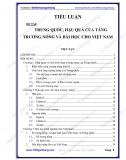 Tiểu luận - Trung quốc, hậu quả của tăng trưởng nóng và bài học cho Việt Nam