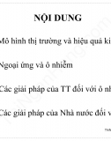 Slide chương 2 môn Kinh tế môi trường: Ô nhiễm môi trường