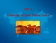 English Economics: Financing international trade 