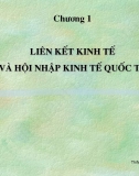 Slide Quan hệ Kinh tế quốc tế: Liên kết kinh tế và hội nhập kinh tế quốc tế