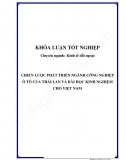 Khóa luận - Chiến lược phát triển ngành công nghiệp ô tô của Thái Lan và bài học kinh nghiệm cho Việt Nam