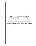 Khóa luận - Phát triển quan hệ thương mại đầu tư Việt Nam - Liên Bang Nga trong bối cảnh mới