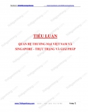 Tiểu luận - Quan hệ thương mại Việt Nam và Singapore_Thực trạng và giải pháp