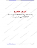 [Khóa luận] Hoàn thiện triển khai chiến lược phát triển thị trường của Công ty TNHH NC