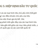 Slide Đầu tư quốc tế: Hiệp định đầu tư quốc tế