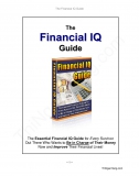 Financial IQ Guide - Hướng dẫn làm bài IQ Toán Tài Chính (English)