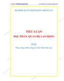 [Tiểu luận] Thực trạng đình công tại Việt Nam hiện nay