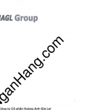 Báo cáo tài chính hợp nhất cty cổ phần Hoàng Anh Gia Lai