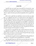 [Chuyên đề] Giải pháp phát triển hoạt động thanh toán quốc tế tại Chi nhánh Ngân hàng công thương Hoàn Kiếm