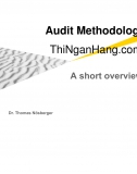 Ernst and Young (EY) Audit Methodology - Nguyên tắc Kiểm toán