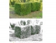 Photoshop - Tạo rừng cây bị tuyết phủ