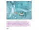 Chú ếch Bắc Cực trong Photoshop