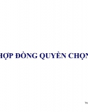 Chương 5. Hợp đồng quyền chọn (Option)