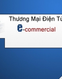 Thương mại điện tử - E-commercial