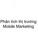 Phân tích thị trường Mobile Marketing