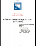 Bài tập môn Quản trị tài chính - Công ty cổ phần Dệt may 29-3 (Hachiba)