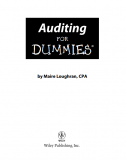 Auditing for Dummies