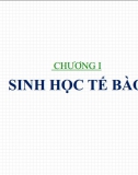 Sinh học tế bào