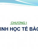 Cấu trúc và chức năng sinh lý của tế bào 