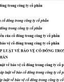 Luận văn Bảo vệ cổ đông trong công ty cổ phần theo quy định của Luật Doanh nghiệp năm 2014