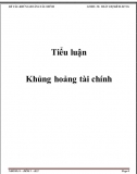 Tiểu luận - Các cuộc khủng hoảng tài chính 