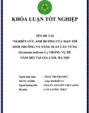 [Khóa luận tốt nghiệp] Nghiên cứu ảnh hưởng của mặn tới sinh trưởng và năng suất cây vừng (Sesamum indicum L.) trong vụ hè