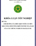 [Khóa luận tốt nghiệp] Ảnh hưởng của điều kiện nuôi cấy đến khả năng sinh tổng hợp enzyme xylanase của các chủng vi khuẩn bacillus sp