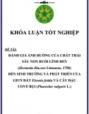 [Khóa luận tốt nghiệp] Đánh giá ảnh hưởng của chất thải sâu non ruồi lính đen đến sinh trưởng và phát triển của giun đất và cây đậu cove bụi