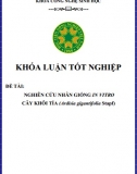 [Khóa luận tốt nghiệp] Nghiên cứu nhân giống in vitro cây khôi tía (Ardisia gigantifolia Stapf)