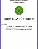 [Khóa luận tốt nghiệp] Nghiên cứu nhân giống in vitro cây khôi tía (Ardisia gigantifolia Stapf)