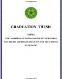 [Khóa luận tốt nghiệp] Plymorphism of partial D-Loop mitochondrial DNA region and phylogenetics in five duck breeds in Vietnam